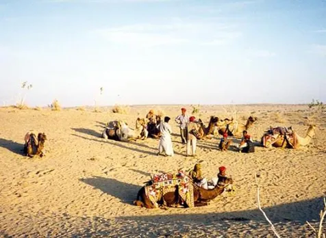saudi arabian disert