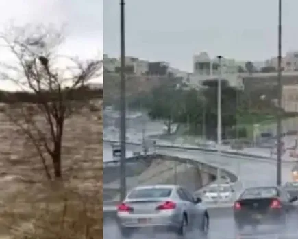 omn rain