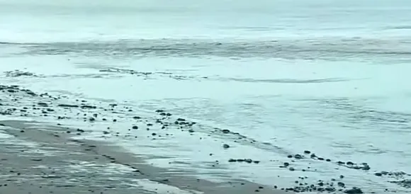 sea-again-receded-mud-on-the-shore