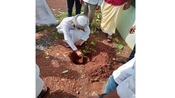 സംസ്ഥാന വ്യാപകമായി എസ് കെ എസ് എസ് എഫ് പരിസ്ഥിതി ദിനാചരണം നടത്തി