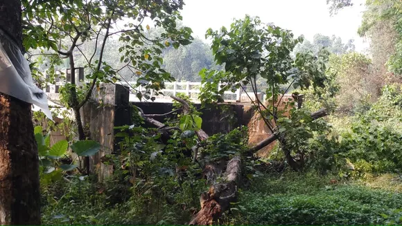 കളരിയാമ്മക്കൽ പാലത്തിന് അപ്രോച്ച് റോഡില്ല: നാട്ടുകാര്‍ പ്രക്ഷോഭത്തിലേയ്ക്ക്