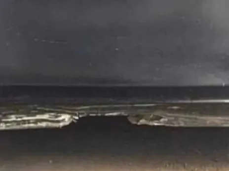 സോഷ്യൽ മീഡിയയിൽ ഇപ്പോൾ വൈറലായ ഈ ചിത്രം എന്താണെന്ന് പറയാമോ ?