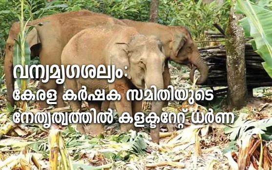 വന്യമൃഗശല്യം: കേരള കർഷക സമിതിയുടെ നേതൃത്വത്തിൽ പാലക്കാട് കളക്ട്രേറ്റ് ധർണ്ണ നാളെ