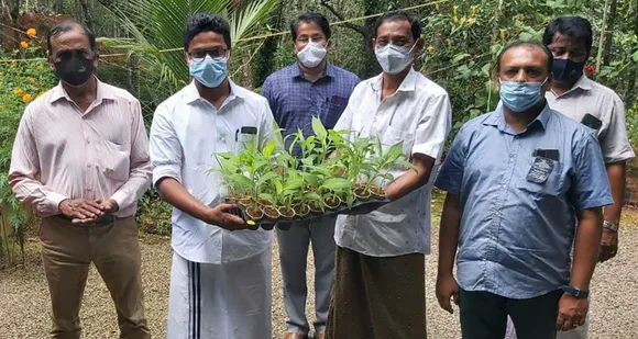 ഉഴവൂർ കൃഷിഭവന്‍റെ നേതൃത്വത്തിൽ കർഷകർക്കായി ടിഷ്യു കള്‍ച്ചര്‍ വാഴ കുഞ്ഞുങ്ങൾ വിതരണം ചെയ്തു