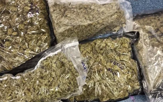 വാളയാർ ചെക്ക് പോസ്റ്റിൽ വീണ്ടും കഞ്ചാവ് വേട്ട; രണ്ടു പേരെ എക്സൈസ് സംഘം പിടികൂടി