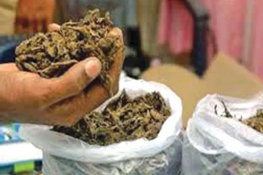 കൊല്ലത്ത് 14 കിലോ കഞ്ചാവുമായ 3 പേര്‍ പിടിയില്‍, പ്രതികള്‍ കഞ്ചാവ് എത്തിച്ചത് ആന്ധ്രപ്രദേശില്‍ നിന്ന്