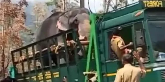 ചട്ടം ലംഘിച്ച് വനം വകുപ്പിൻ്റെ ലോറികൾ: ആനപ്രേമി സംഘം പരാതി നൽകി