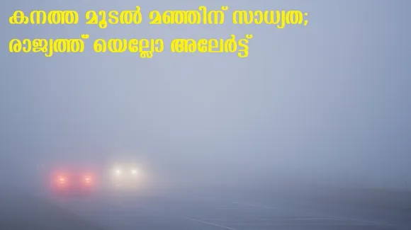 കനത്ത മൂടല്‍ മഞ്ഞിന് സാധ്യത; രാജ്യത്ത് യെല്ലോ അലേര്‍ട്ട്
