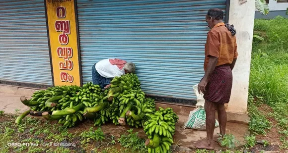 കര്‍ഷകന് ആശ്വാസം; വാഴക്കുല വില്‍പന ദൗത്യം ഏറ്റെടുത്ത് കർഷക സംഘം
