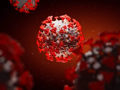 കോട്ടയത്ത് സ്ഥിതി ഗതികൾ രൂക്ഷമാകുന്നു; പത്തു പേര്‍ക്കു കൂടി കോവിഡ് ; ആകെ 54 പേര്‍ ചികിത്സയില്‍