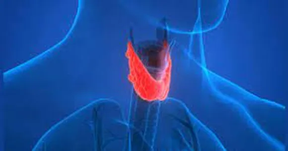 തൈറോയ്ഡ് രോഗികള്‍ക്ക് ഡയറ്റില്‍ ഉള്‍പ്പെടുത്താവുന്ന ചില ഭക്ഷണങ്ങളെ പരിചയപ്പെടാം.
