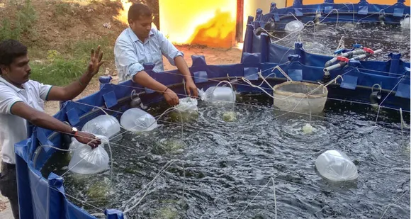 വ്യാപകമാകുന്ന ബയോഫ്‌ളോക് മത്സ്യകൃഷി; സൂക്ഷ്മതയില്ലാതെ ചെയ്താൽ ഫലമുണ്ടാകില്ലെന്ന് വിദഗ്ദ്ധര്‍
