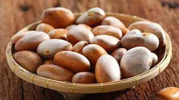 ചക്കക്കുരുവിന്റെ ആരോ​ഗ്യ ​ഗുണങ്ങൾ എന്തൊക്കെയാണെന്ന് നോക്കാം..