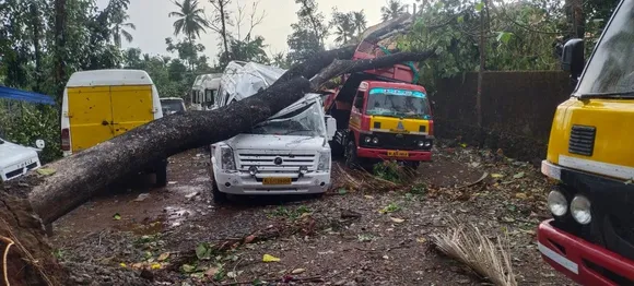 അങ്കമാലിയിൽ അപ്രതീക്ഷിതമായി വീശിയടിച്ച ചുഴലിക്കാറ്റിൽ വൻ നാശനഷ്ടം ; ദേശീയപാതയിൽ ഗതാഗതം സ്തംഭിച്ചു