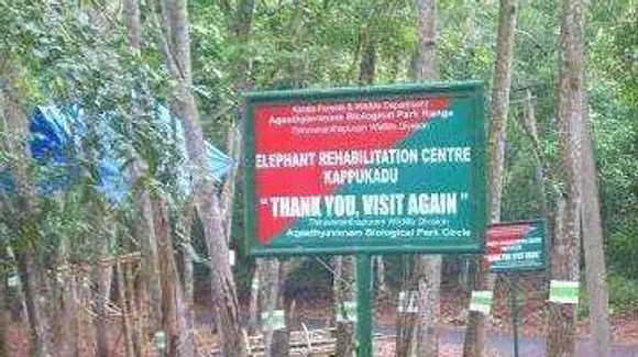 വീണ്ടും കോട്ടൂർ ആന പരിപാലന കേന്ദ്രത്തിൽ ഒരു കുട്ടിയാന കൂടി ചരിഞ്ഞു