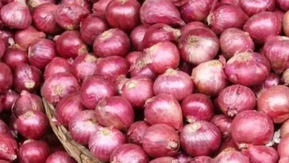 ഡൽഹിയിൽ വിഷവായു മാത്രമല്ല ഉള്ളിയും കണ്ണുകളെ ഈറനണിയിക്കുന്നു