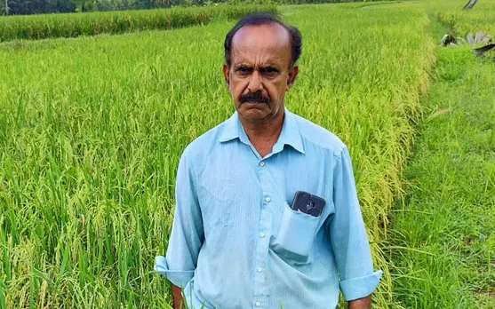പാലക്കാട് ജില്ലയിൽ ബസ്മതി നെല്ല് പരീക്ഷണാടിസ്ഥാനത്തിൽ വിളയിച്ച് കർഷകൻ