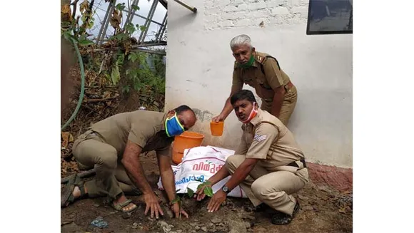 പരിസ്ഥിതി ദിനത്തില്‍ എക്സൈസ് വകുപ്പ് ശുചീശുചീകരണവും , തൈ നടീലും നിർവ്വഹിച്ചു
