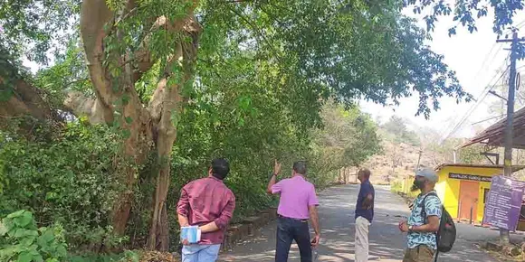 മലമ്പുഴ ഡാമിനടുത്തുള്ള ആൽമര സംരക്ഷണം: അധികൃതർ മരം സന്ദർശിച്ചു