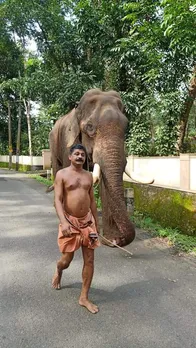 ഇത് ഞാനാ വിനോദ്..... ങ്ങള് കൂടെയുണ്ടോ.... ഞാൻ ചുമ്മാ പുഷ്പം പോലെ എഴുന്നേറ്റ് വന്നില്ലേ...