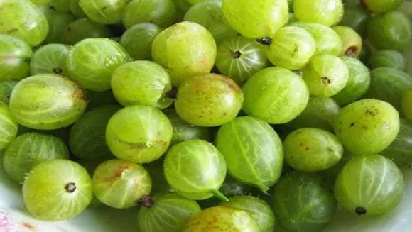 നെല്ലിക്കയിലുണ്ട് ഈ ഗുണങ്ങള്‍ ...