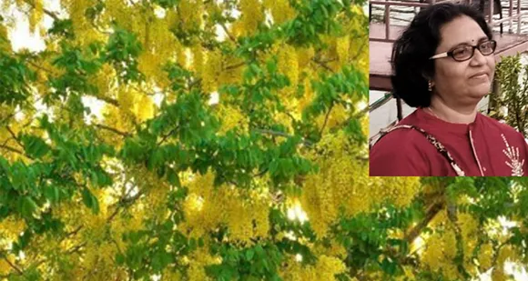 വിഷു സത്യവും മിഥ്യയും...