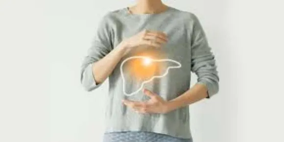 ഫാറ്റി ലിവറിൽ നിന്നു തിരികെ വരാം; പക്ഷേ സിറോസിസിലേക്ക് എത്തിയാൽ തിരിച്ചുവരവ് അസാധ്യം; അറിയേണ്ടത്