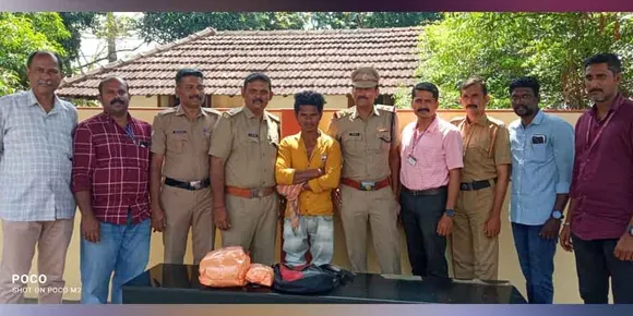 ഒറ്റപ്പാലം റെയിൽവേ സ്റ്റേഷനിൽ നിന്നും രണ്ട് കേസുകളിലായി 10.4 കിലോ കഞ്ചാവ് പിടികൂടി; ഒഡീഷ സ്വദേശി അറസ്റ്റിൽ