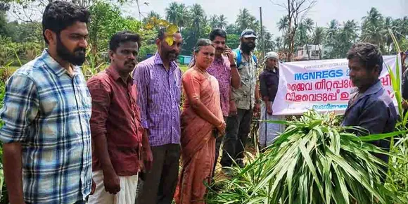 അകത്തേത്തറ ഗ്രാമ പഞ്ചായത്ത്‌ നട്ടുപിടിപ്പിച്ച തീറ്റ പുൽകൃഷി വിളവെടുപ്പു് നടത്തി