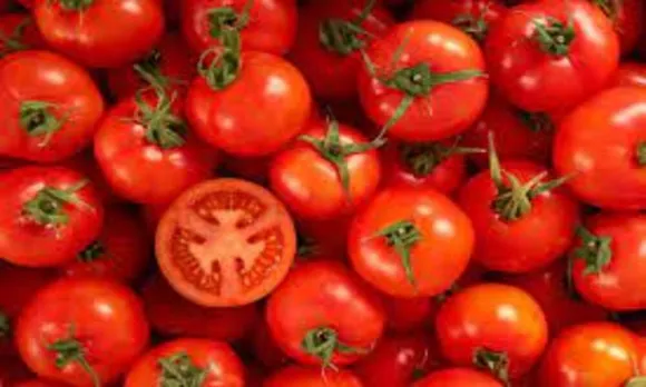 തക്കാളി വിലവർധന മുകളിലേക്ക് തന്നെ; രണ്ട് കിലോ തക്കാളി വാങ്ങിയാൽ മൊബൈൽ ഫോൺ ഫ്രീ