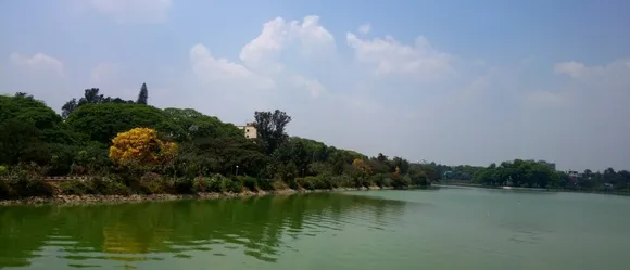 പരിസ്ഥിതിലോല മേഖലയുടെ അതിർത്തി നിശ്ചയിച്ചുള്ള സുപ്രീംകോടതി വിധിക്കെതിരെ കേരളം പുനഃപരിശോധന ഹർജി നൽകും