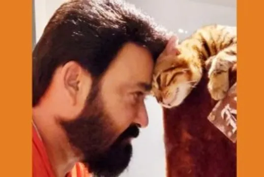 പൂച്ചയുടെ തലയിൽ തലചേർത്ത് മോഹൻലാൽ; സോഷ്യൽ മീഡിയയിൽ ശ്രദ്ധനേടി