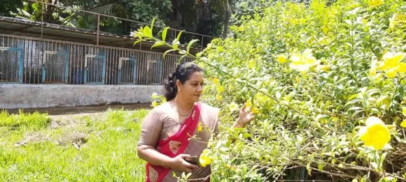 പൂത്തു വിടർന്ന ആ മഞ്ഞ കോളാമ്പിപ്പൂക്കൾ ഇനി ഒറ്റയ്ക്കല്ല. ഇവയെ ഏറ്റെടുത്ത് സംരക്ഷിക്കാൻ ഇനി പാലാ നഗരസഭയുണ്ട് കൂടെ !