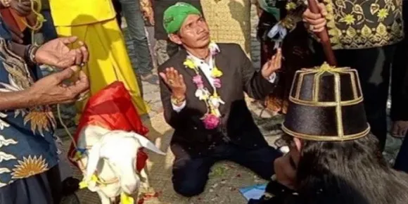 ആടിനെ നിക്കാഹ് ചെയ്ത് 44-കാരന്‍; സ്ത്രീധനവും വാങ്ങി; വീഡിയോ വൈറലായതോടെ പ്രതികരണവുമായി രംഗത്ത്