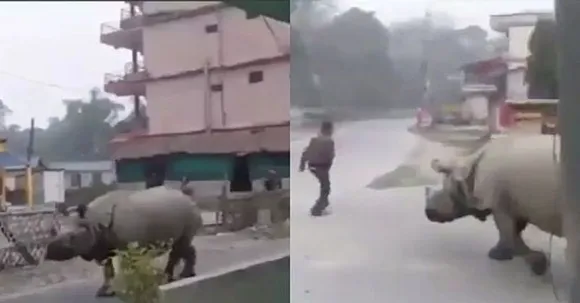 ലോക്ഡൗണില്‍ ജനങ്ങള്‍ വീട്ടിലിരിക്കാതെ പുറത്തിറങ്ങിയോ എന്ന് അറിയാന്‍ പരിശോധനയ്ക്ക് ഇറങ്ങിയത് കണ്ടാമൃഗം ; അബദ്ധത്തില്‍ മുന്നില്‍ച്ചെന്ന് പെട്ട് യുവാവ് ; രക്ഷപ്പെട്ടത് ഭാഗ്യം കൊണ്ട്, ജീവനും കൊണ്ടോടുന്ന യുവാവിന്റെ വീഡിയോ വൈറല്‍ ആകുന്നു