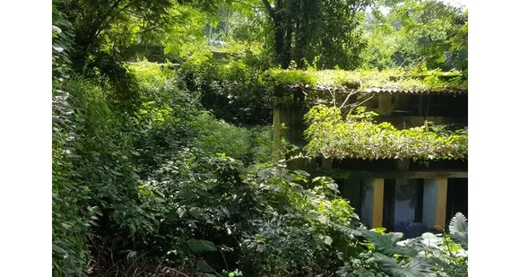 തിരുവമ്പാടി പോലീസ് ക്വാർട്ടേഴ്‌സ് കാടുമൂടി നശിക്കുന്നു; കാട് ഉടൻ വെട്ടിത്തെളിക്കണമെന്ന് സമീപവാസികള്‍ ആവശ്യപ്പെടുന്നു