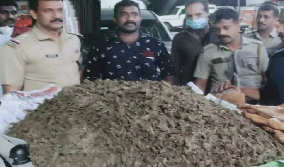 വിശാഖപട്ടണത്തു നിന്നും കാറിൽ കൊല്ലം നഗരത്തിലേക്കു കൊണ്ടുപോകുകയായിരുന്ന 25 കിലോ കഞ്ചാവ് പിടികൂടി, ദമ്പതികളടക്കം നാലു പേർ അറസ്റ്റിൽ