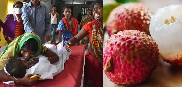 ബീഹാറിലെ കുഞ്ഞുങ്ങളുടെ കൂട്ടമരണത്തിന്റെ കാരണം ? ലിച്ചിപ്പഴമോ ?