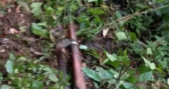 വയനാട്ടിൽ കാട്ടുപന്നിയെ വേട്ടയാടുന്നതിനിടെ വെടിയേറ്റ് യുവാവിന് ദാരുണാന്ത്യം; ഒപ്പമുണ്ടായിരുന്ന ബന്ധുവിന് ഗുരുതര പരിക്ക്