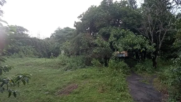 കടുത്തുരുത്തി റബ​ര്‍ മാ​ര്‍ക്ക​റ്റിം​ഗ് സൊ​സൈ​റ്റി തു​റ​ക്ക​ണം, അഴിമതിക്കാർക്കെതിരെ നടപടി സ്വീകരിക്കണം: ജനാധിപത്യ കേരളാ കോൺഗ്രസ് സംസ്ഥാന എക്സിക്യൂട്ടീവ് മെമ്പര്‍ സന്തോഷ് കുഴിവേലിൽ