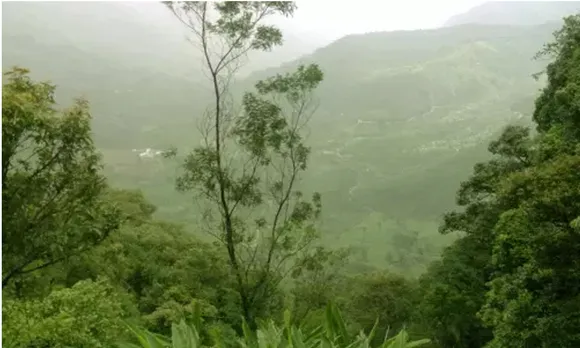 ബഫർ സോൺ കോടതിവിധി: പാലക്കാട് ജില്ലയിലെ ഇടതുമുന്നണി ഹർത്താലുകളിൽ വിവേചനമെന്ന് ആക്ഷേപം