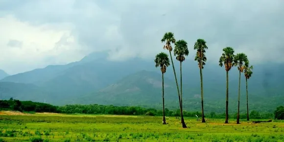 ഗ്രാമീണ തനിമ നെല്ലറയുടെ സുകൃതം ; പാലക്കാട്‌ ജില്ല   രൂപം കൊണ്ടിട്ട്  66 വർഷങ്ങൾ