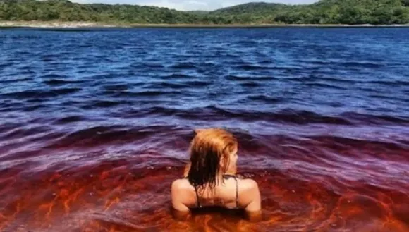 കാഴ്ചയില്‍ കൊക്കോകോള പോലെ; വിചിത്രമാണ് ഈ കൊക്കോകോള ലഗൂണ്‍