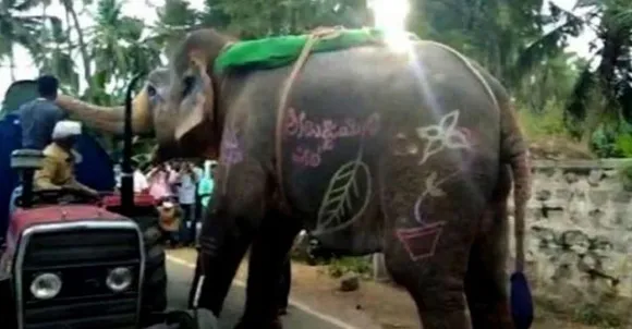 ഘോഷയാത്രക്കിടെ ദാഹിച്ചു വലഞ്ഞു;  വഴിയെ പോയ ട്രാക്ടര്‍ തടഞ്ഞു നിര്‍ത്തി വെള്ളം ചോദിച്ചു വാങ്ങിക്കുടിക്കുന്ന ആന;  വൈറല്‍ വീഡിയോ !
