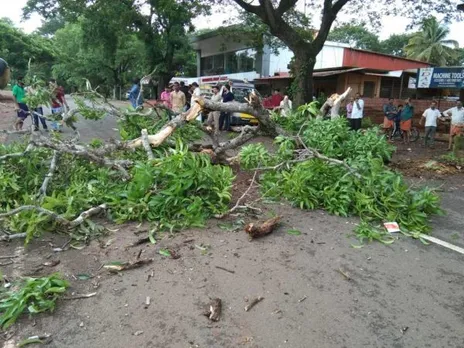 അപകട ഭീഷണി ഉയർത്തിയ മരച്ചില്ല വീണു: വഴിയാത്രക്കാരൻ അത്ഭുതകരമായി രക്ഷപ്പെട്ടു