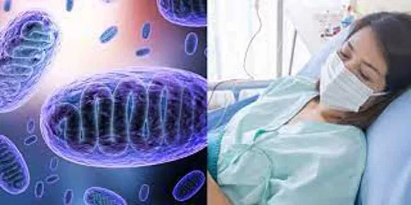 ചെടികളെ കൊന്നു തിന്നുന്ന ഫംഗസ് ബാധ മനുഷ്യനിലും; ഇന്ത്യക്കാരനിൽ രോഗം സ്ഥിരീകരിച്ചു, ആശങ്ക പങ്കുവെച്ച് ഡോക്ടർമാർ