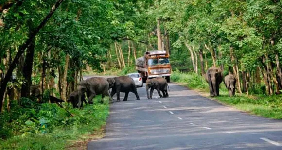 ഇതുവരെ അണകെട്ടി മുക്കിയതൊന്നും പോരാഞ്ഞിട്ട് ആതിരപ്പള്ളിയില്‍ അണക്കെട്ടാന്‍ സര്‍ക്കാരിന് അസുഖകരമായ ധ്യതിയാണ്.  ഒരു സംശയവും വേണ്ട സര്‍ക്കാരാണ് ഏറ്റവും ഭീകരനായ പ്രകൃതിഘാതകന്‍ !