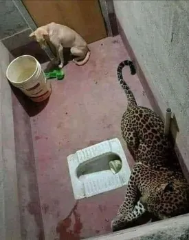 വിശപ്പിനേക്കാൾ , സ്വാതന്ത്ര്യമാണ് വലുത്