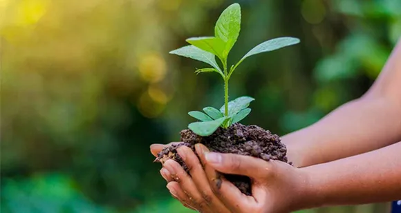 ഗാന്ധിജി സ്‌റ്റഡി സെന്റർ മുത്തോലി യൂണിറ്റിന്റെ ആഭിമുഖ്യത്തിൽ പരിസ്ഥിതി ദിനാചരണത്തിന്റെ ഭാഗമായി പഞ്ചായത്തിലെ കുടുംബങ്ങൾക്ക് പോഷക സമൃദ്ധവും അപൂർവ്വവുമായ ഫലവൃക്ഷങ്ങളും ഔഷധ ചെടികളും വിതരണം ചെയ്യുന്നു
