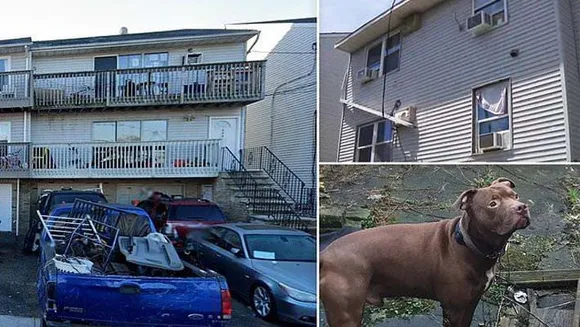 ജനലില്‍ കൂടി താഴേക്ക് വീണ കുട്ടിയെ വളര്‍ത്തുനായ്ക്കള്‍ കടിച്ചു കീറി